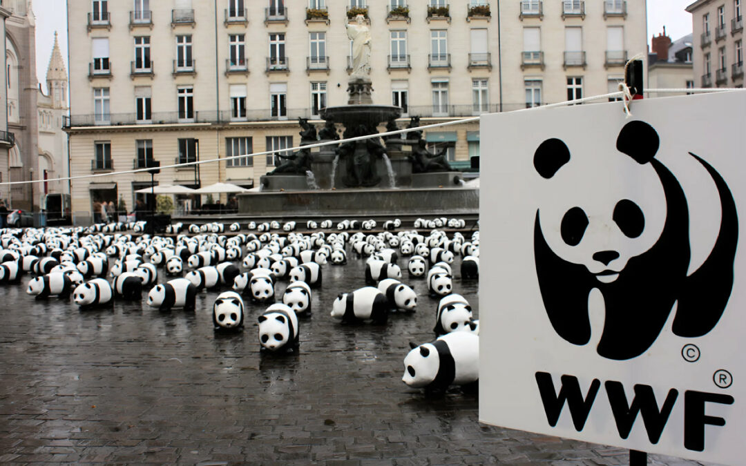 I 1600 panda del WWF per le strade di Nantes. 4 aprile 2009.