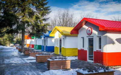 A Przemyśl, i cani senzatetto trovano casa in un villaggio colorato e accogliente