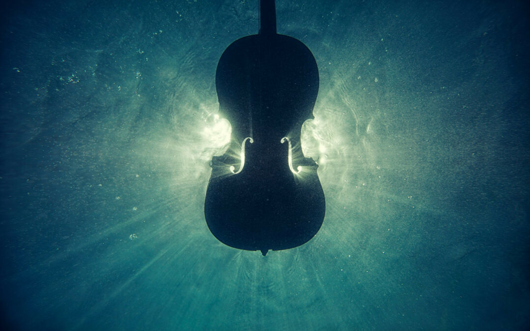 Foto subacquea di uno strumento di musica classica: il violino.